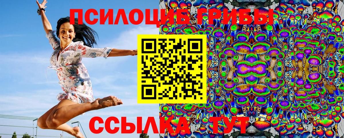 Псилоцибиновые грибы Psilocybe Дедовск